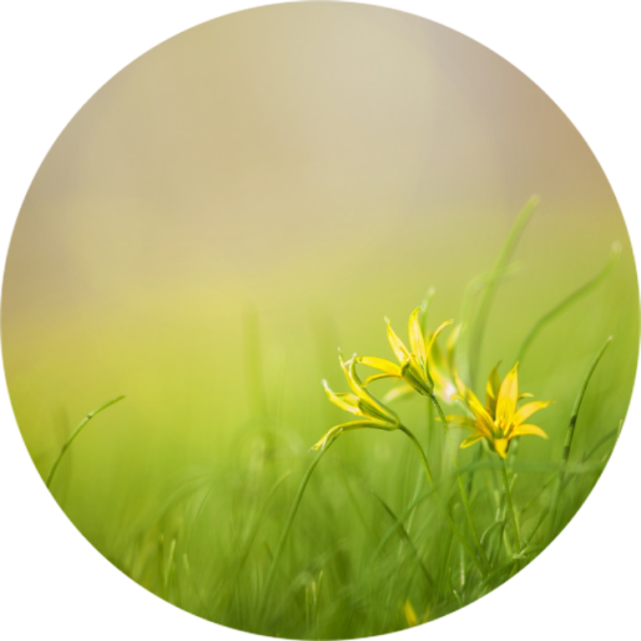 Erzihenungsfragen Mütterkurs